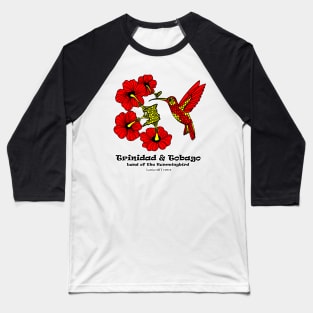 Land of the Hummingbird Baseball T-Shirt